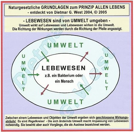 Naturgesetzliche Grundlagen zum Prinzip allen Lebens: Lebewesen sind von Umwelt umgeben !