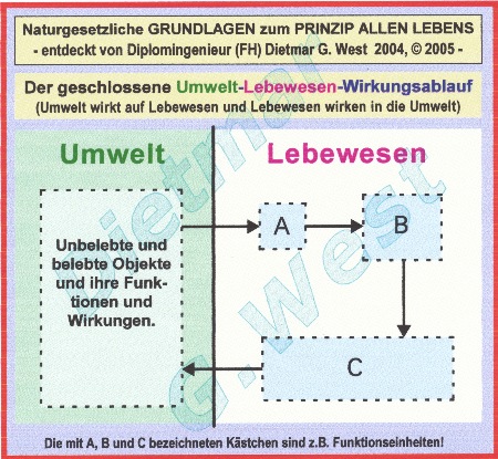 Naturgesetzliche Grundlagen zum Prinzip allen Lebens: Der geschlossene Wirkungsablauf Umwelt-Lebewesen (Darstellung 0.3)