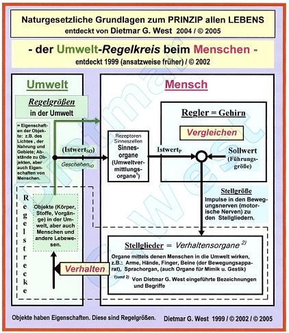 Naturgesetzliche Grundlagen zum Prinzip allen Lebens: Der UMWELT-REGELKREIS beim MENSCHEN !