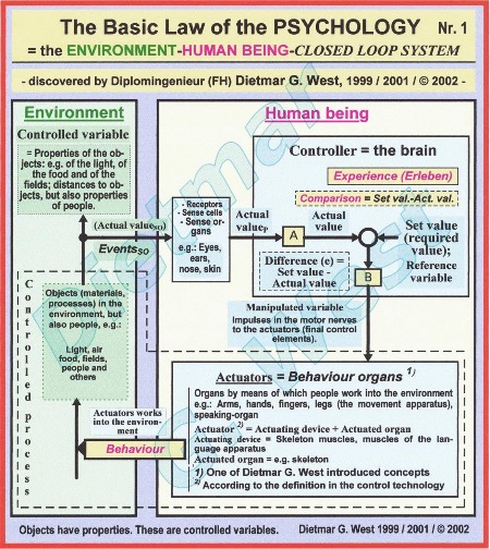 The  Basic Law of the Psychology (Representation Nr.1)