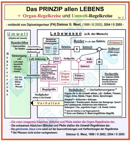 DAS PRINZIP ALLEN LEBENS  (Darstellung Nr. 2)